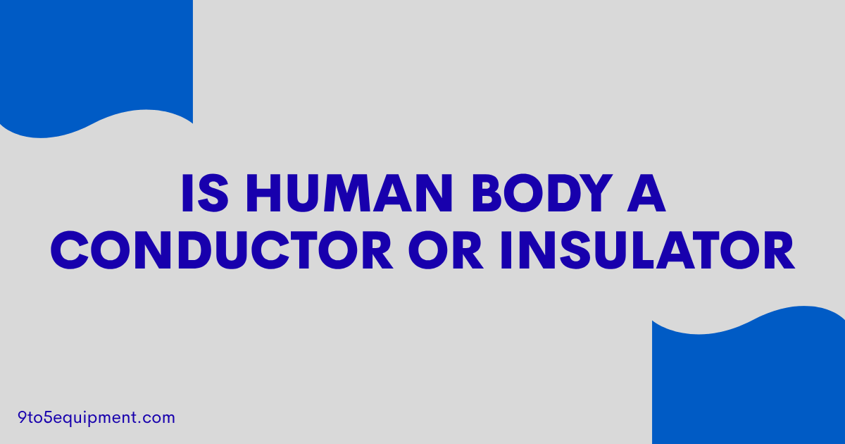 Is Human Body A Conductor Or Insulator